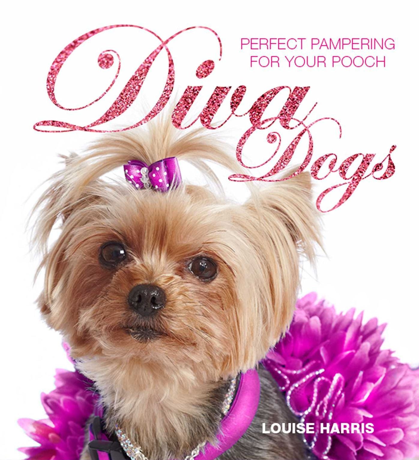 Diva Dogs: Perfect Pampering for Your Pooch