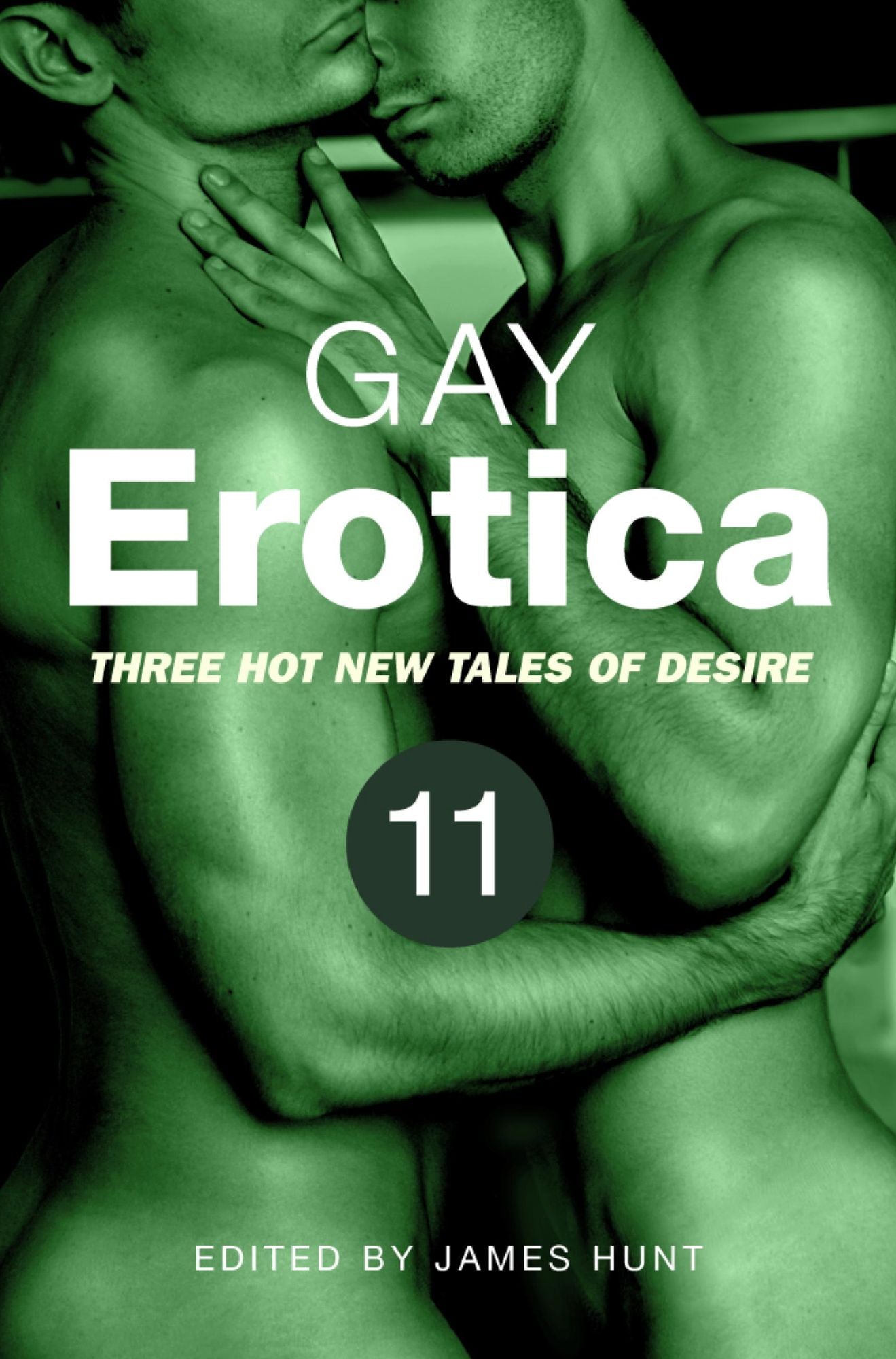 Gay Erotica, Volume 11: Three great new stories