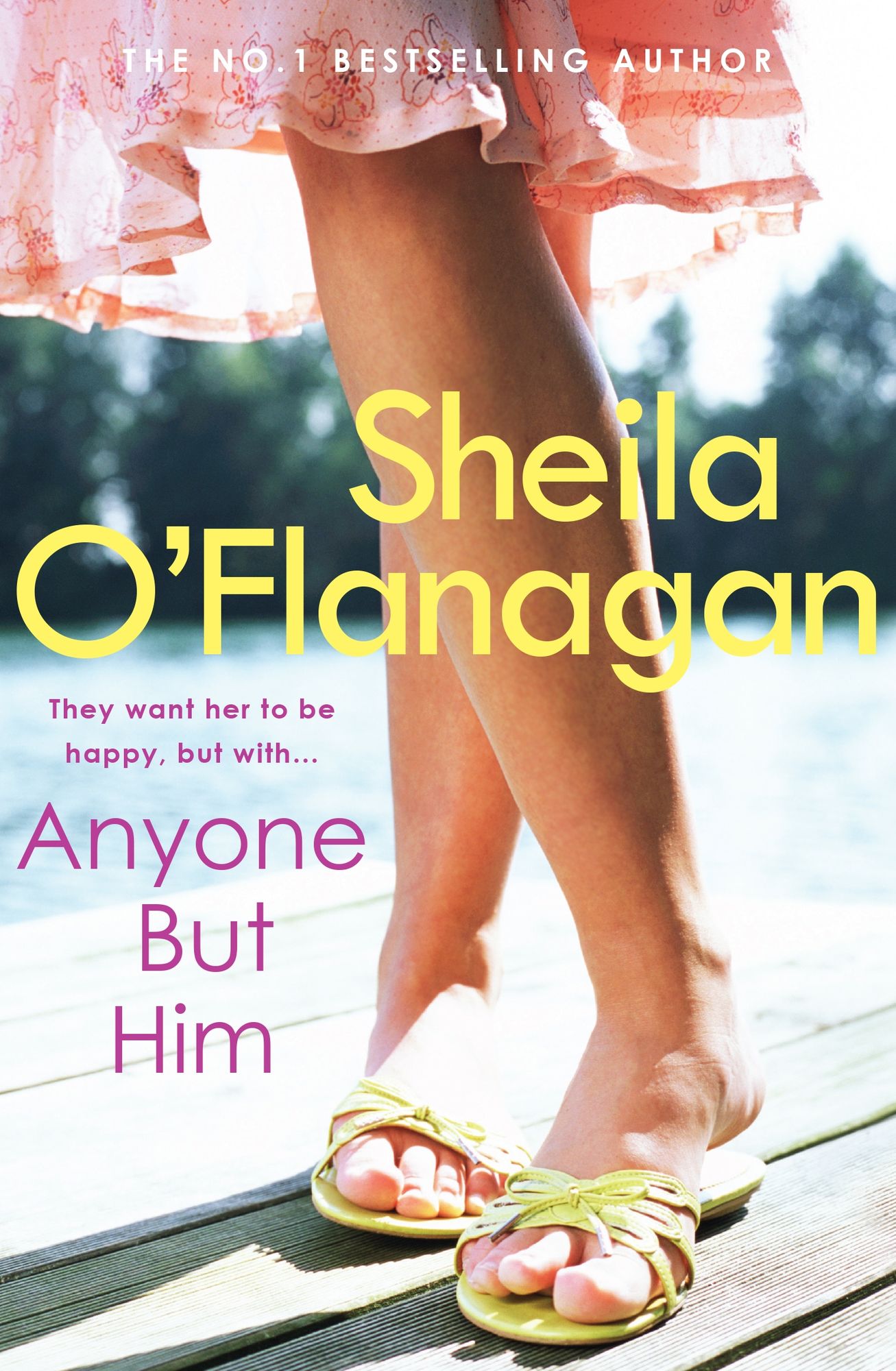 Anyone but Him: A touching story about love, heartache and family ties