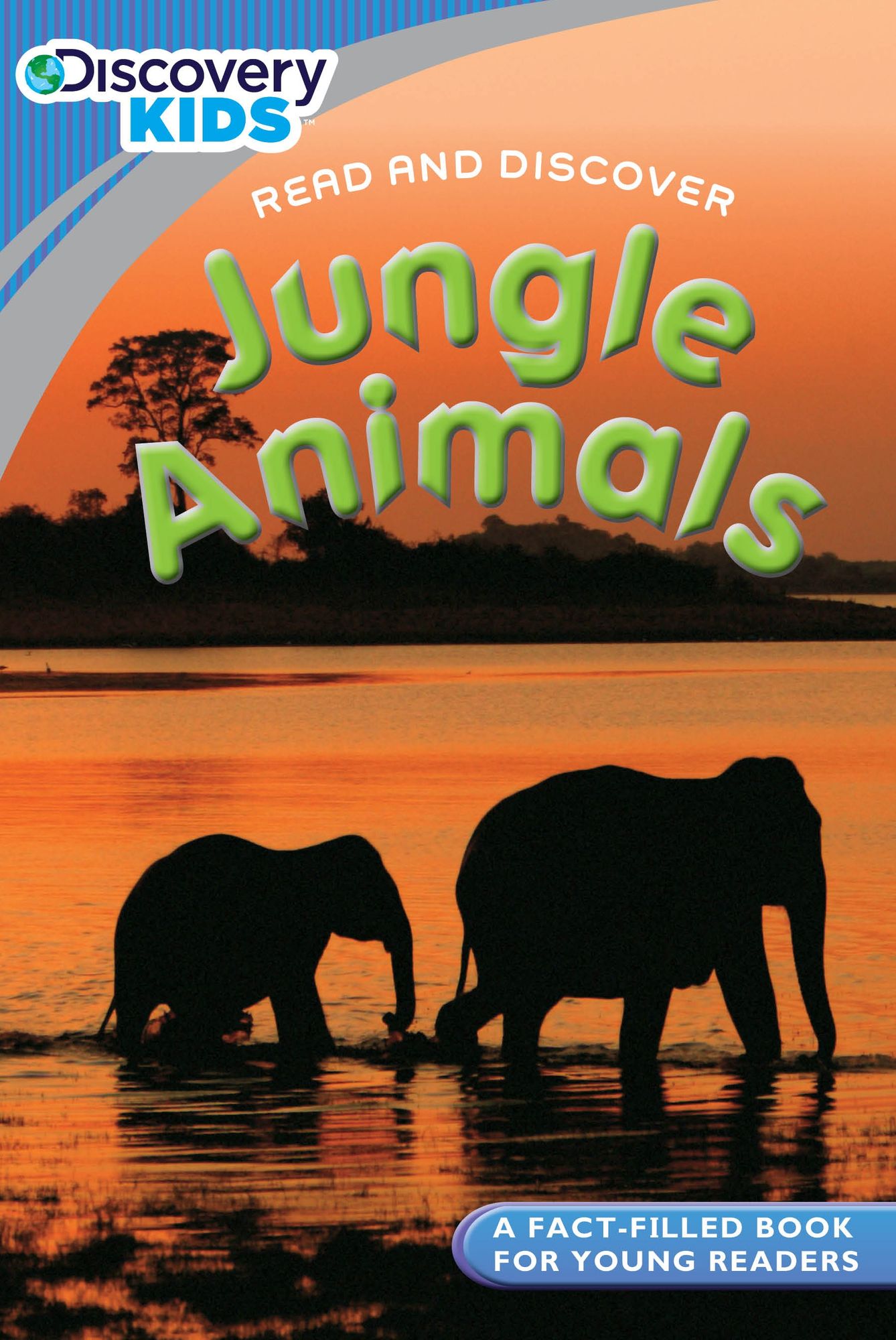 Discovery Kids Readers: Jungle Animals
