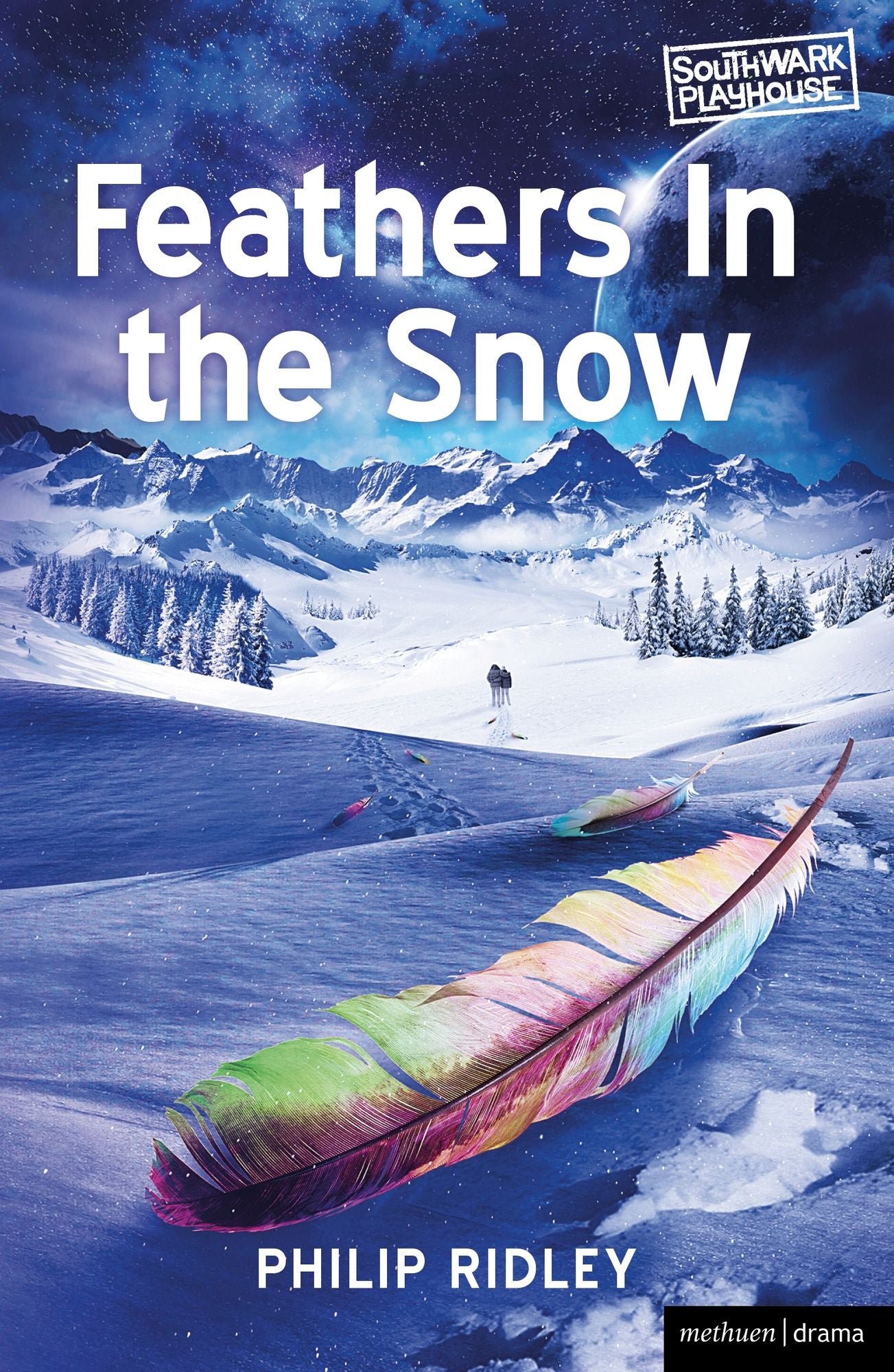 Feathers in the Snow