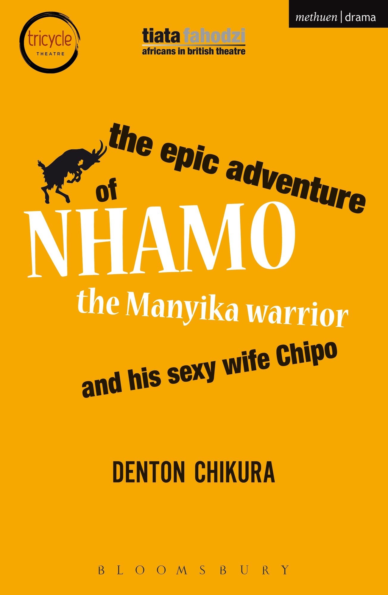 The Epic Adventure of Nhamo the Manyika Warrior and his Sexy Wife Chipo