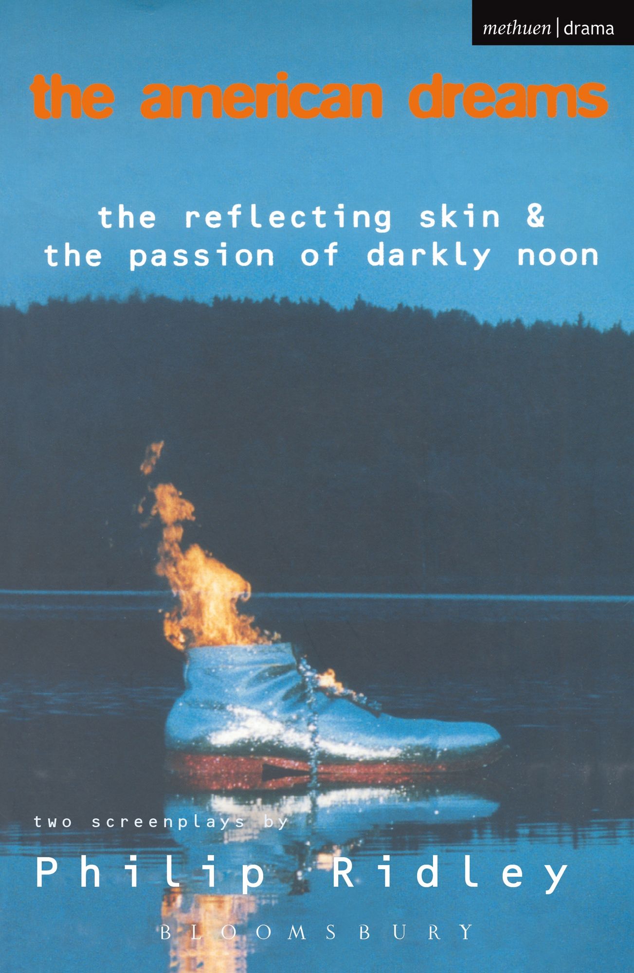 The American Dreams: The Reflecting Skin and The Passion of Darkly Noon
