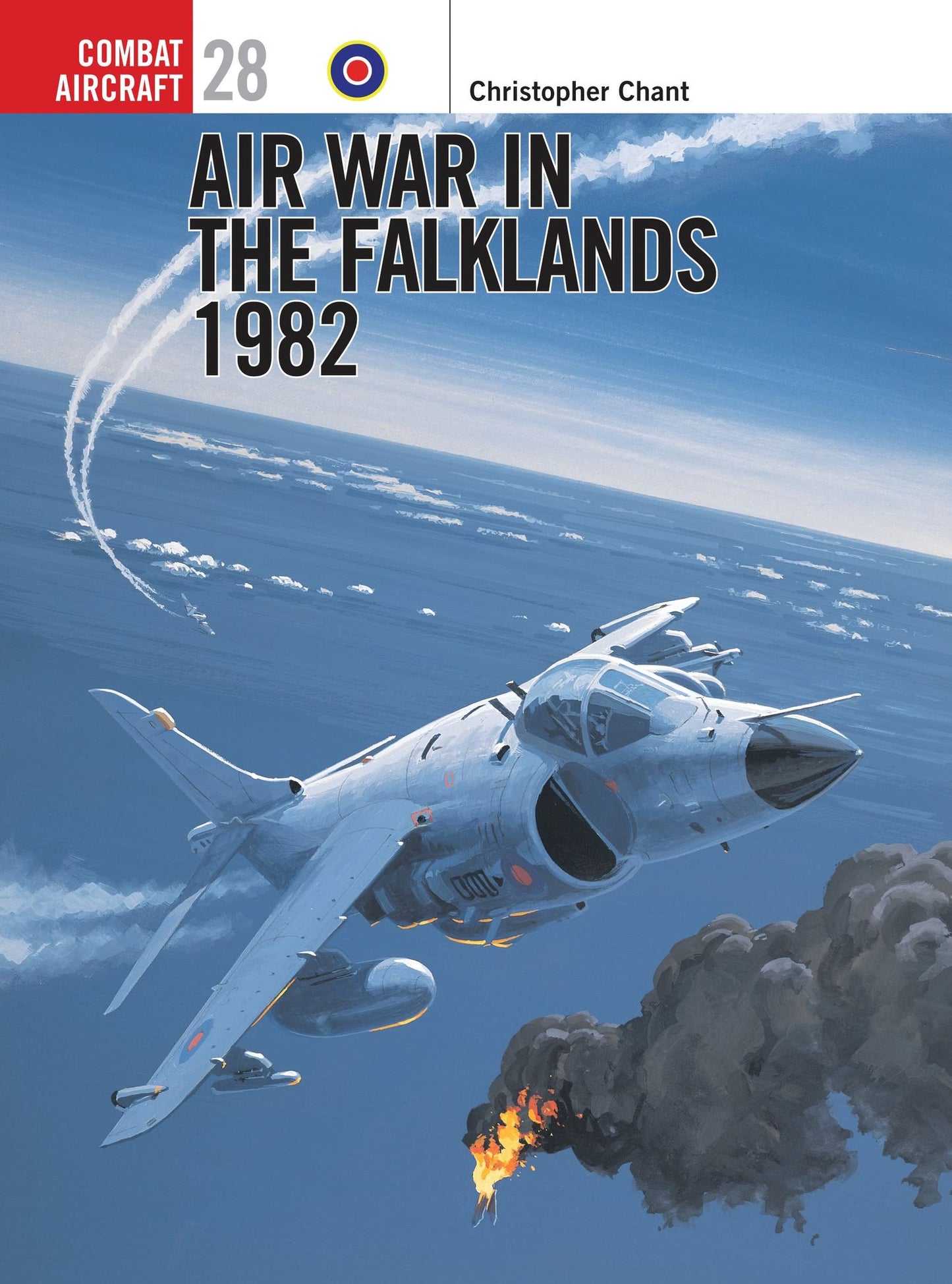 BloomsburyUK - Air War in the Falklands 1982