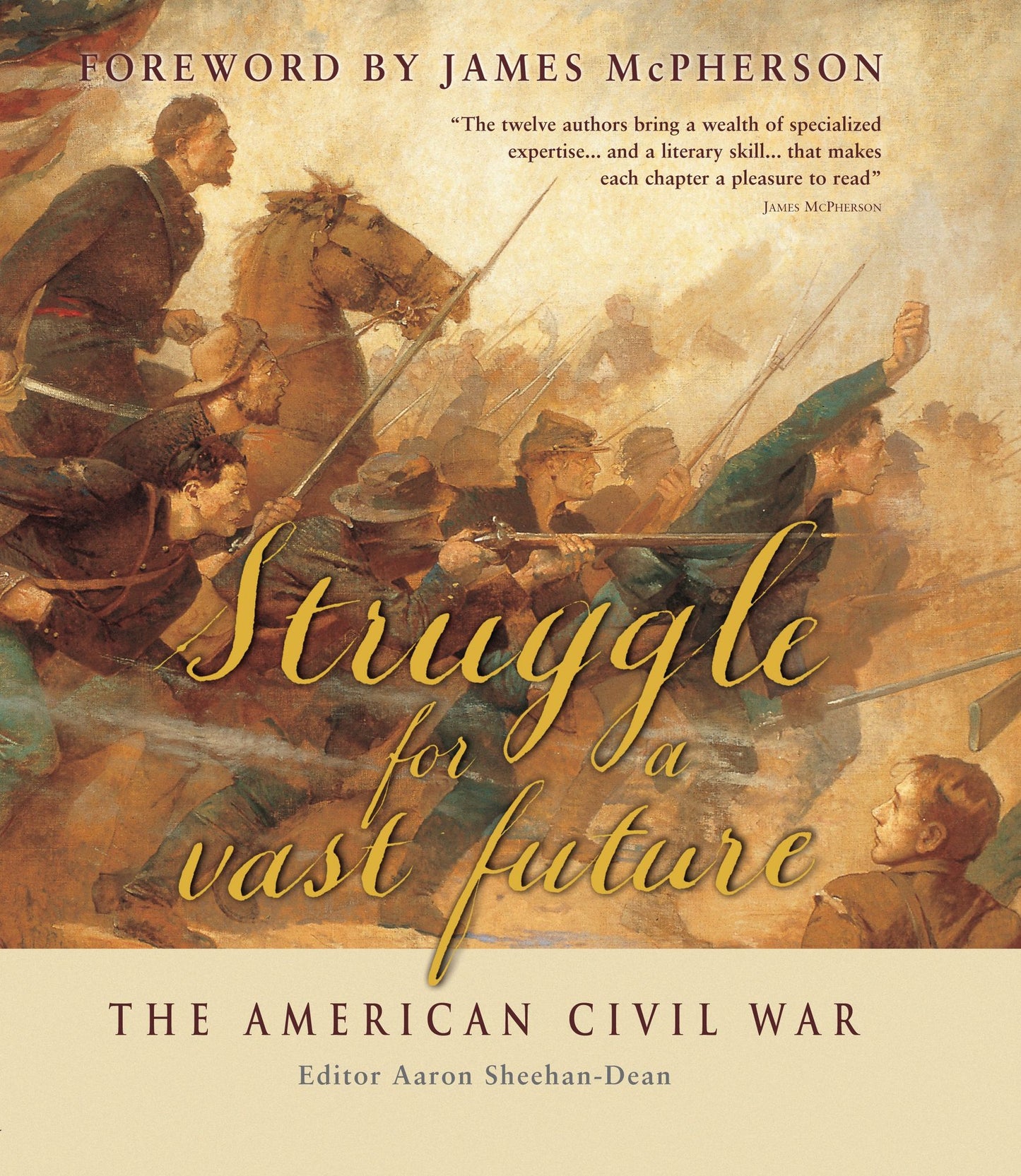 Struggle for a vast future: The American Civil War