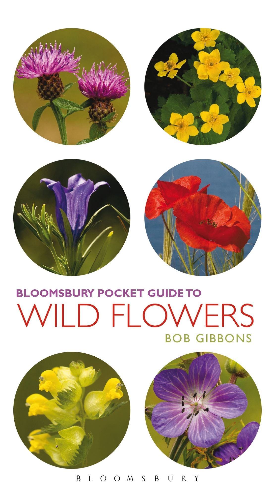 Pocket Guide To Wild Flowers