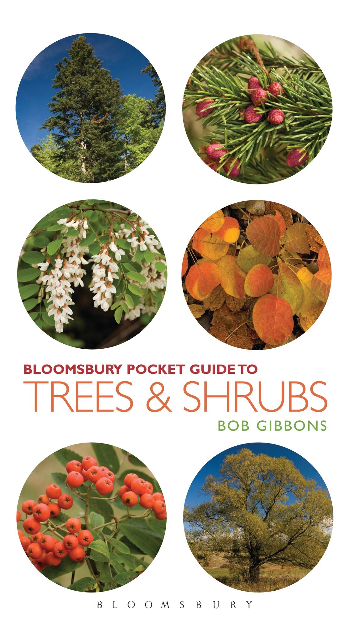 Pocket Guide to Trees and Shrubs