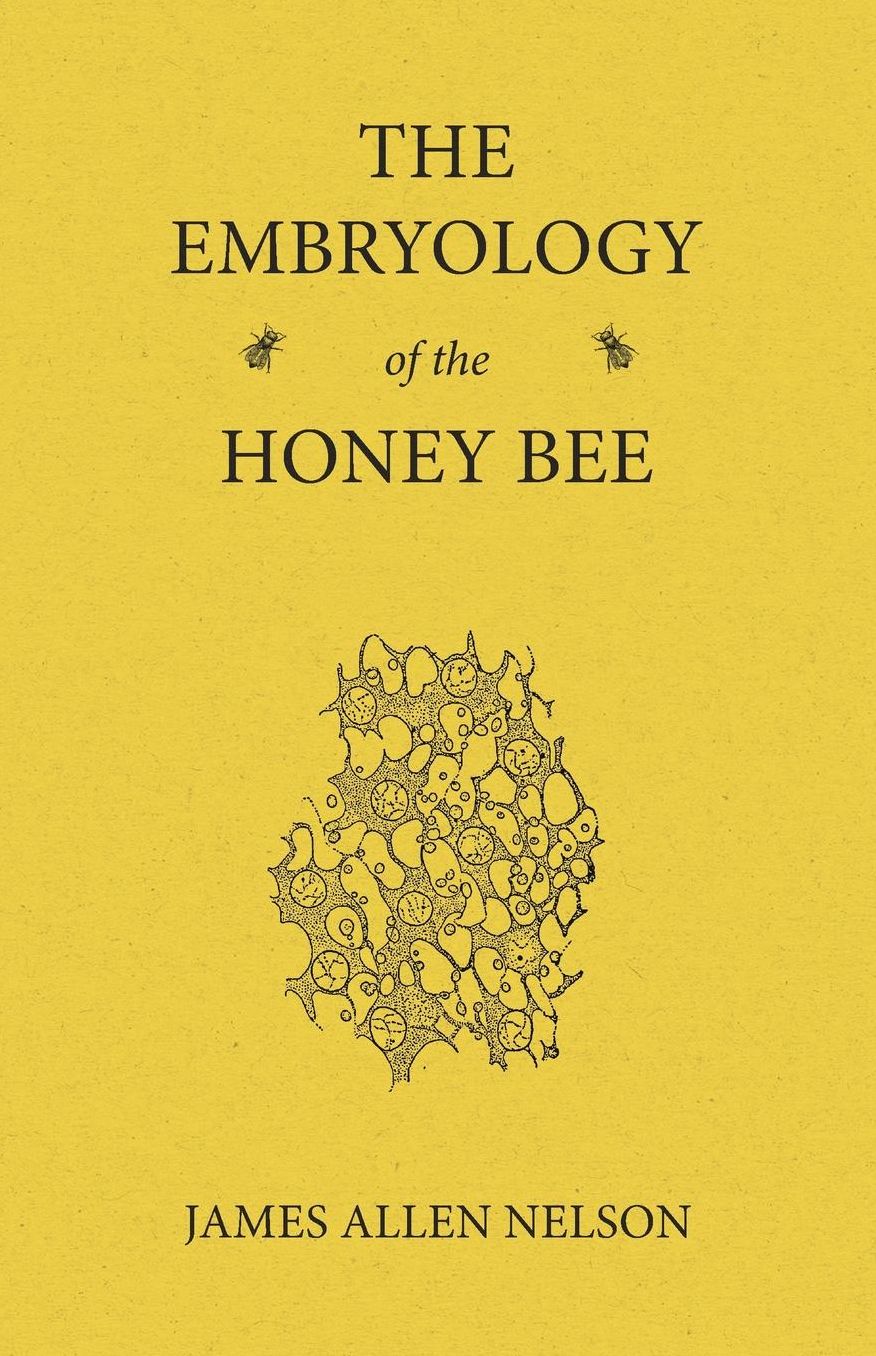 The Embryology of the Honey Bee
