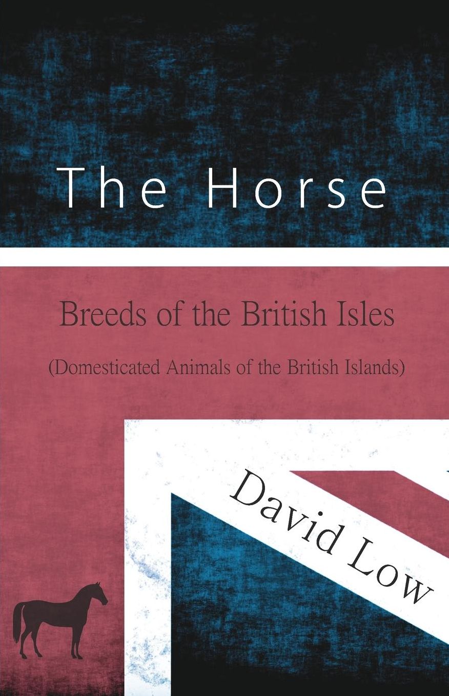 The Horse - Breeds of the British Isles (Domesticated Animals of the British Islands)