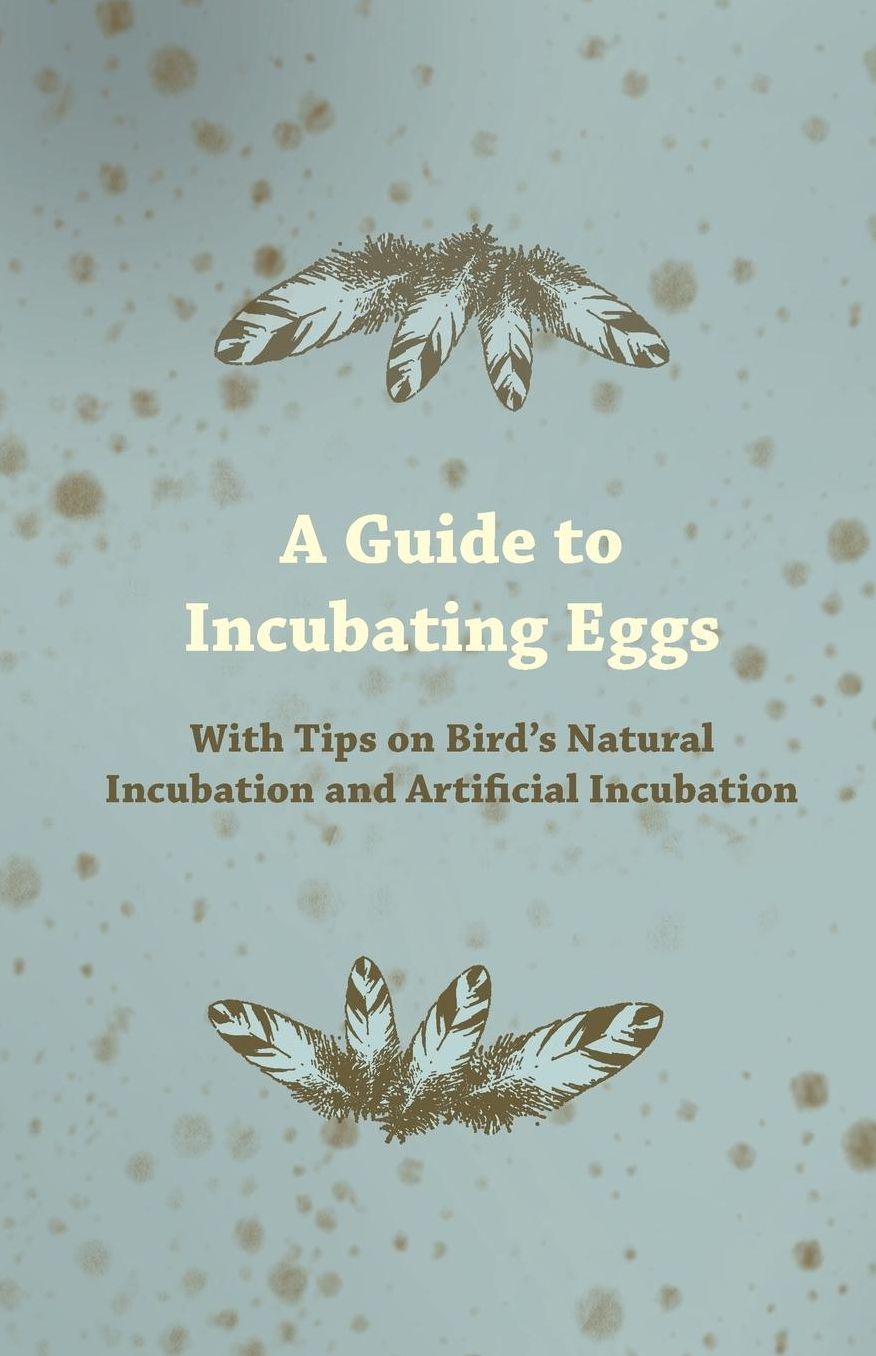 A Guide to Incubating Eggs - With Tips on Bird's Natural Incubation and Artificial Incubation