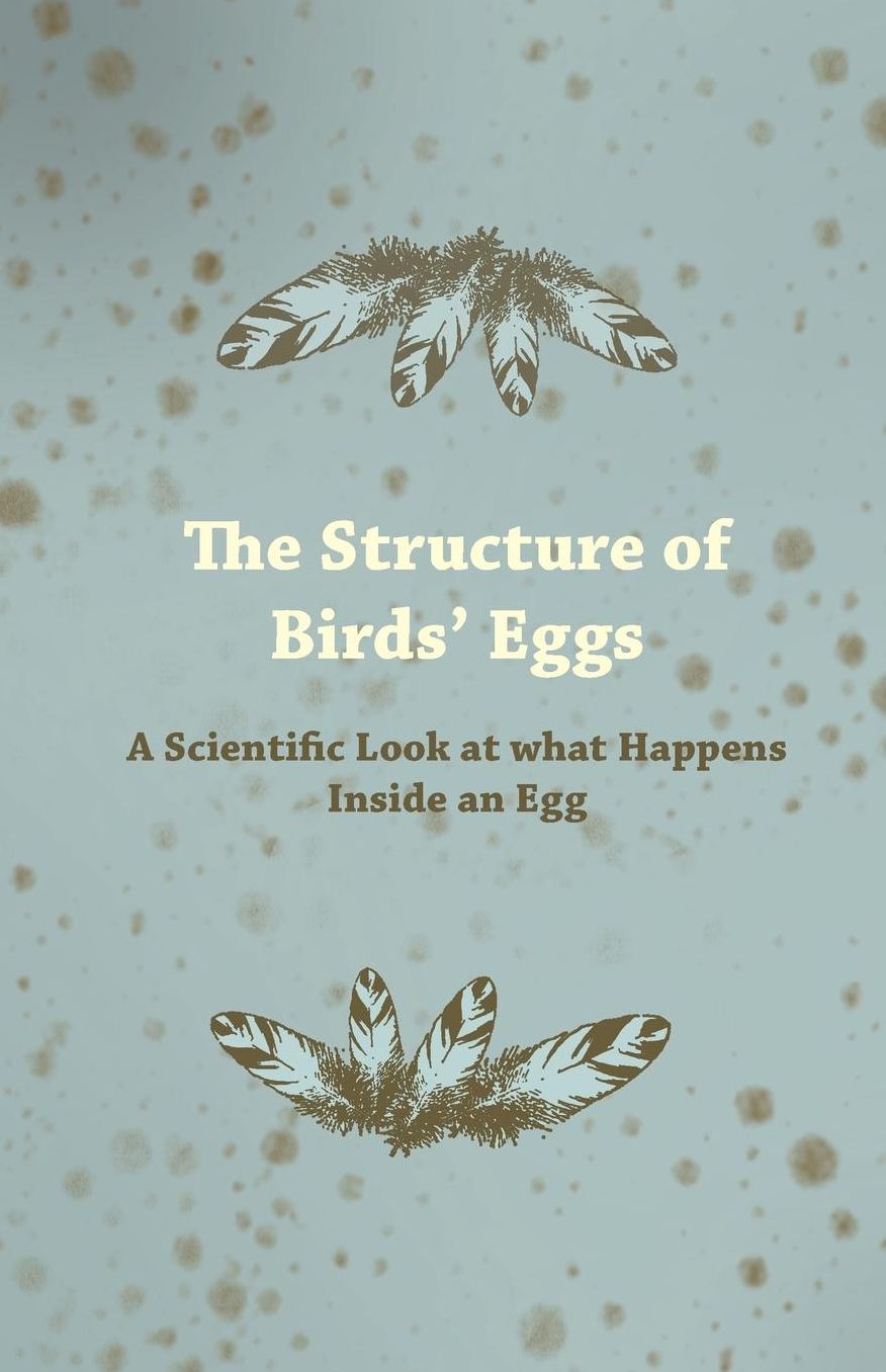The Structure of Bird's Eggs - A Scientific Look at What Happens Inside an Egg