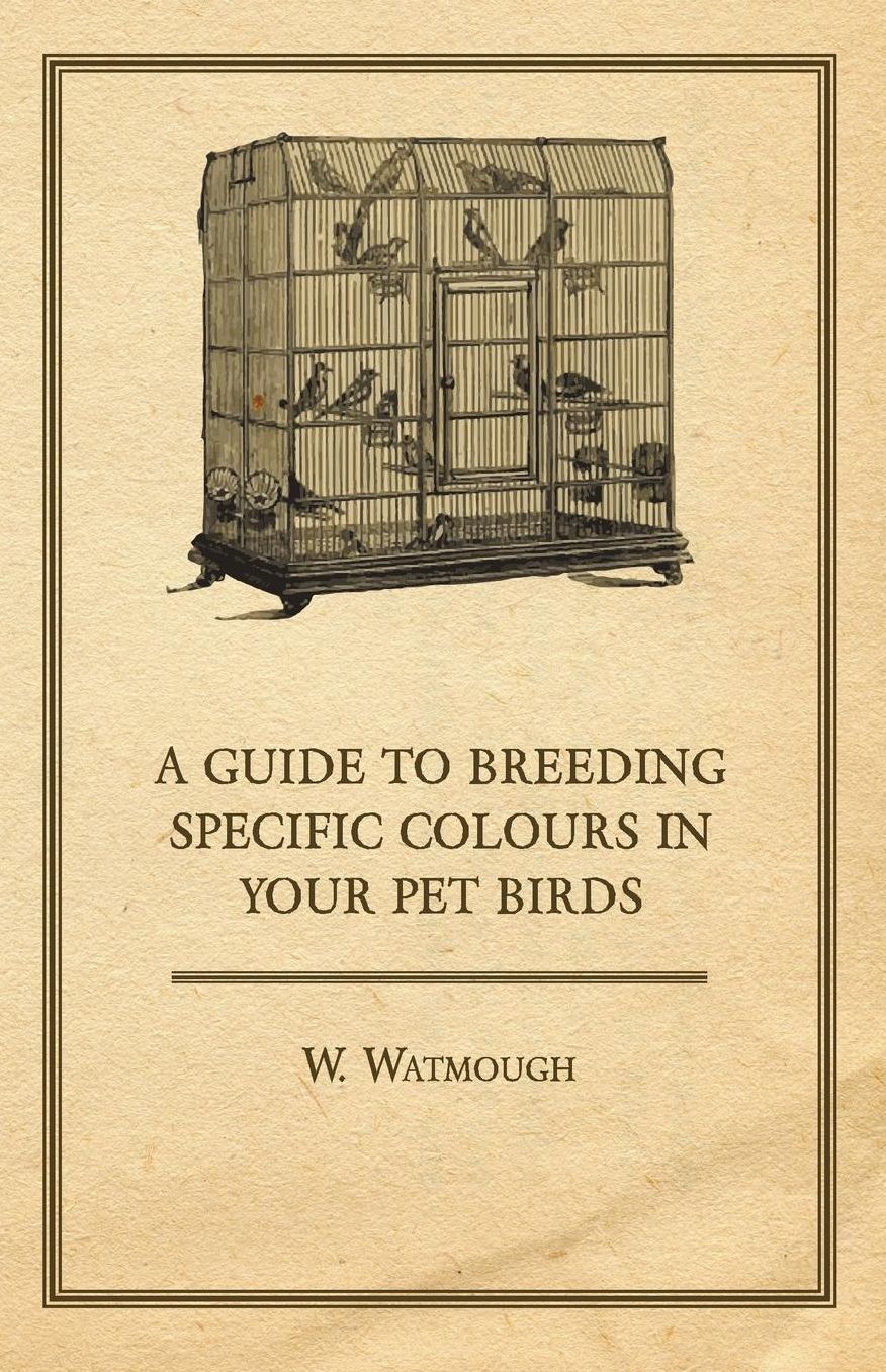 A Guide to Breeding Specific Colours in your Pet Birds