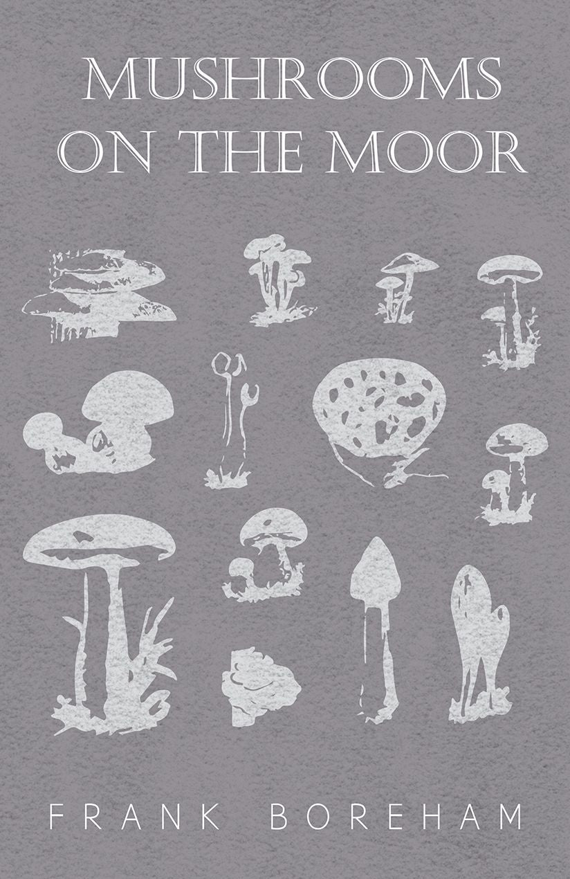 Mushrooms on the Moor