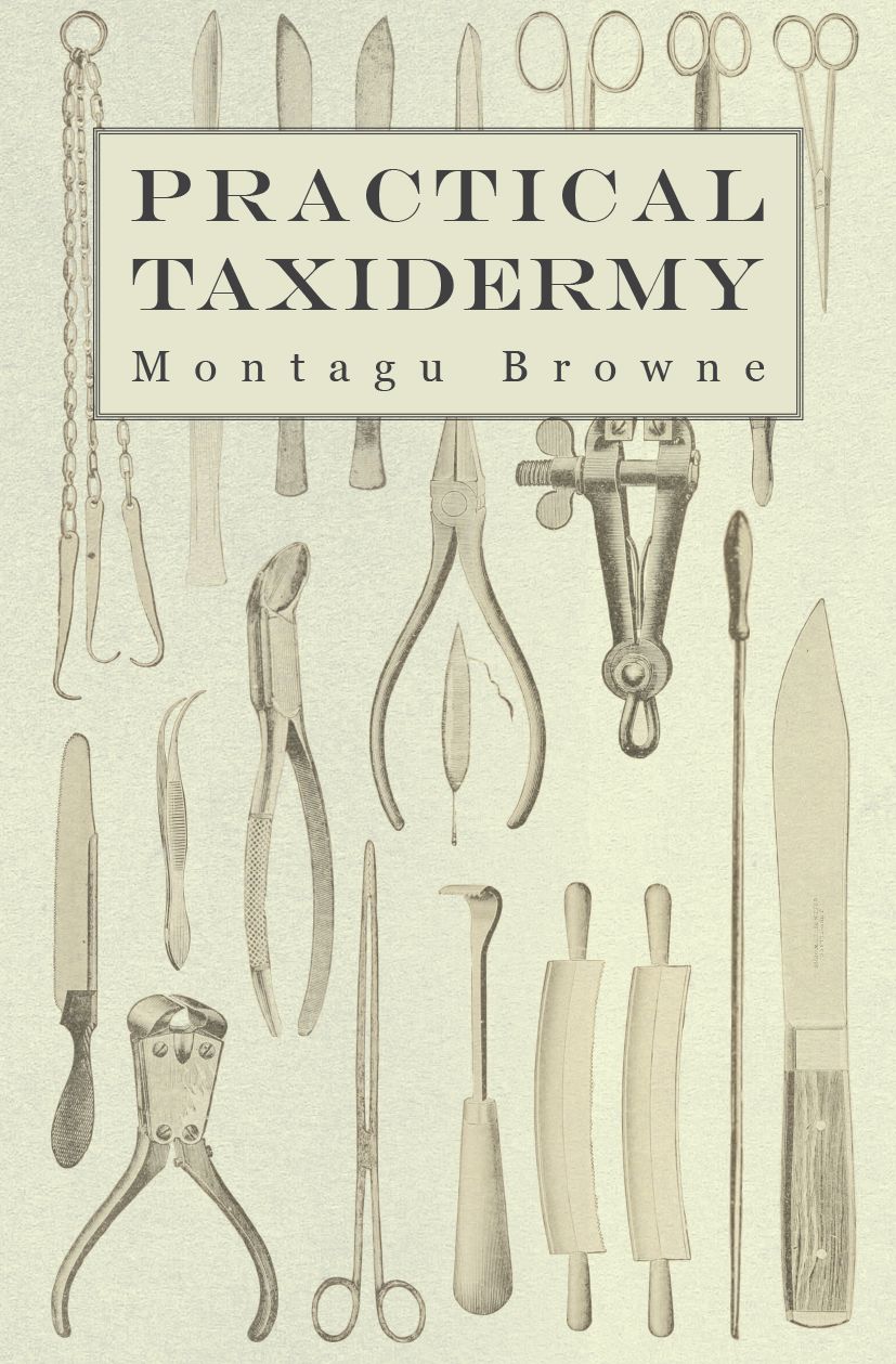 Practical Taxidermy - A Manual of Instruction to the Amateur in Collecting, Preserving, and Setting up Natural History Specimens of All Kinds. To Which is Added a Chapter Upon the Pictorial Arrangement of Museums
