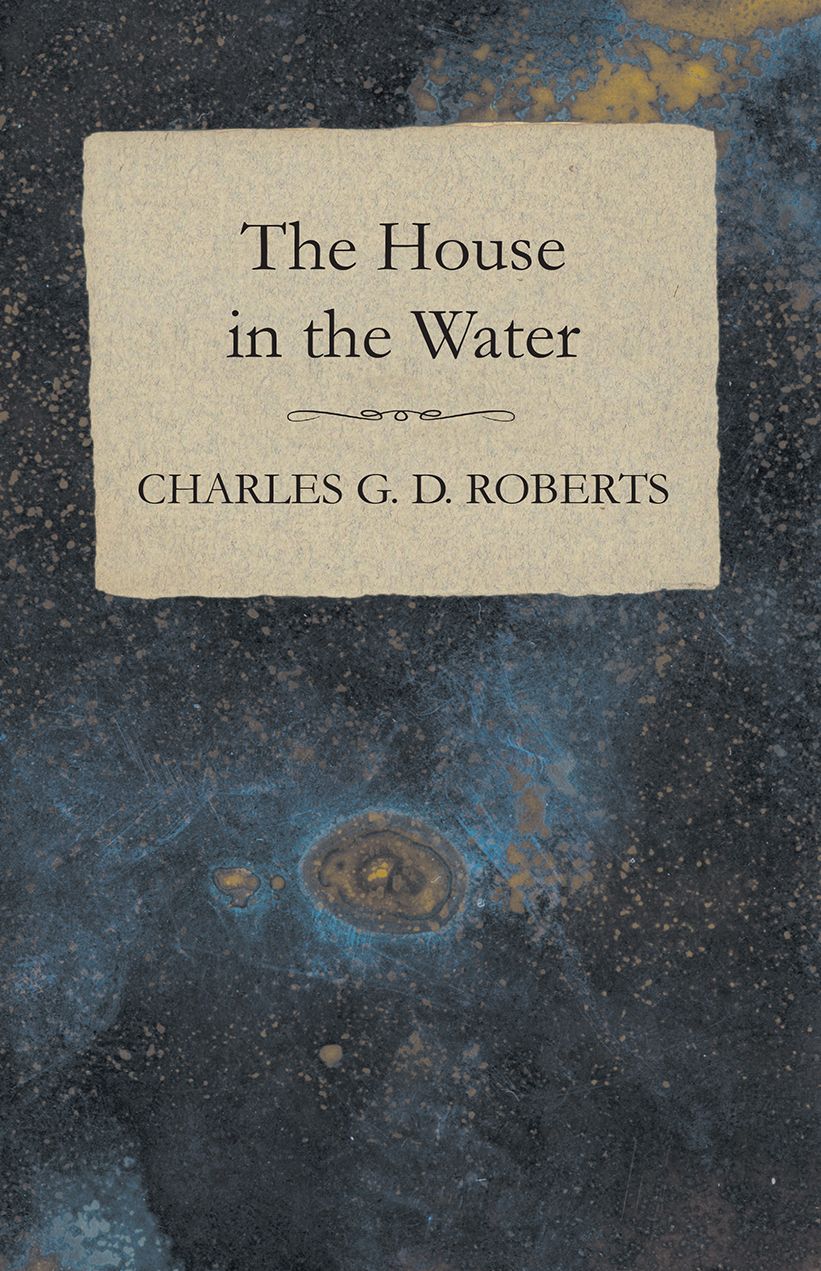 The House in the Water