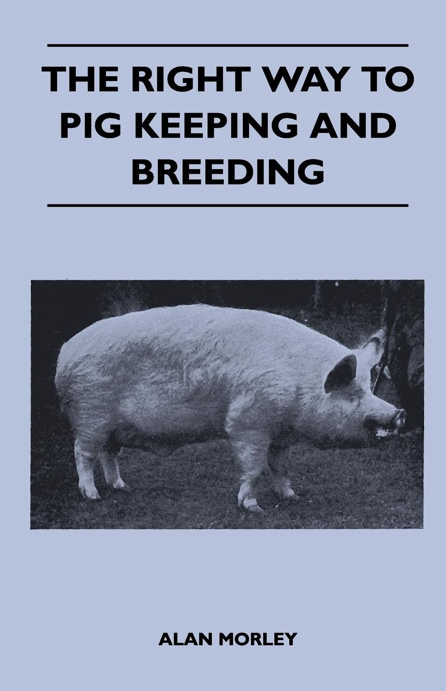 The Right Way to Pig Keeping and Breeding