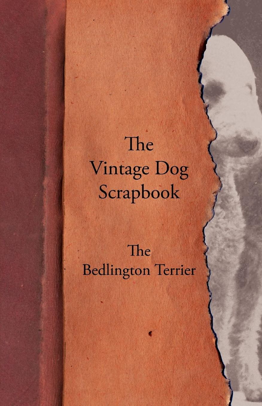 The Vintage Dog Scrapbook - The Bedlington Terrier