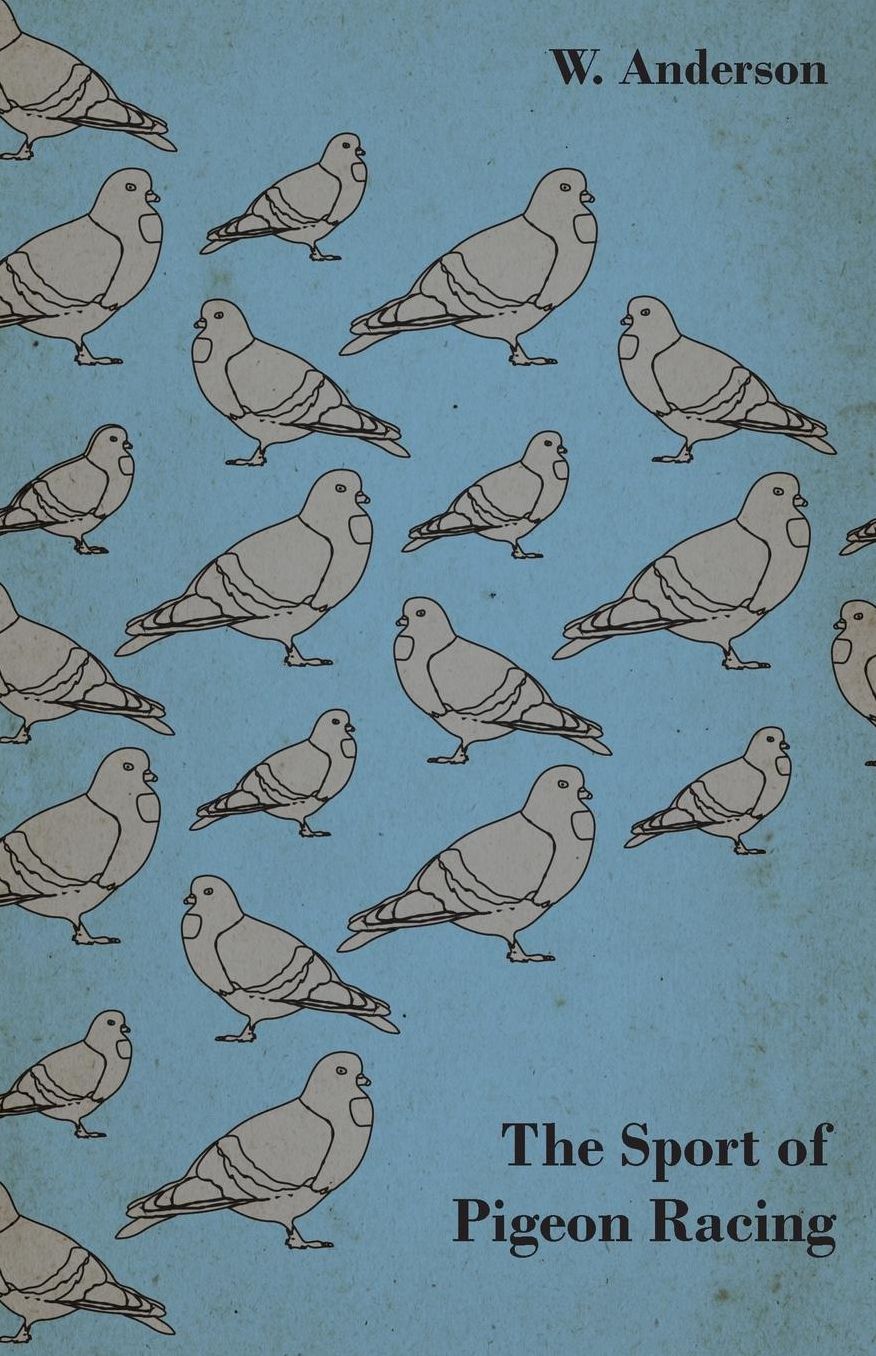 The Sport Of Pigeon Racing