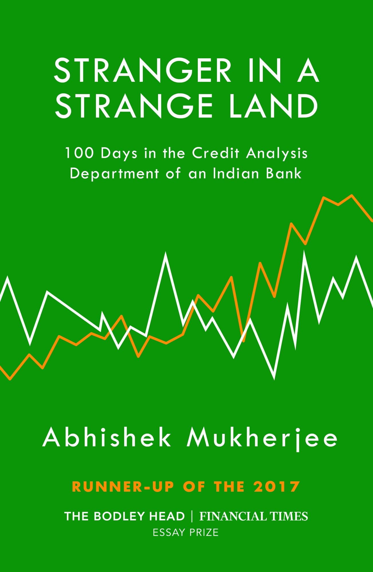 Stranger in a Strange Land: 100 Days in the Credit Analysis Department of an Indian Bank
