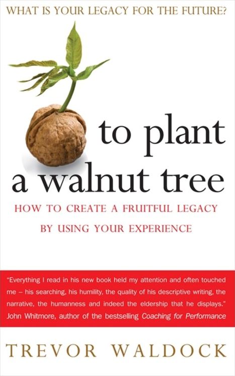 To Plant A Walnut Tree: How to Create a Fruitful Legacy by Using Your Experience