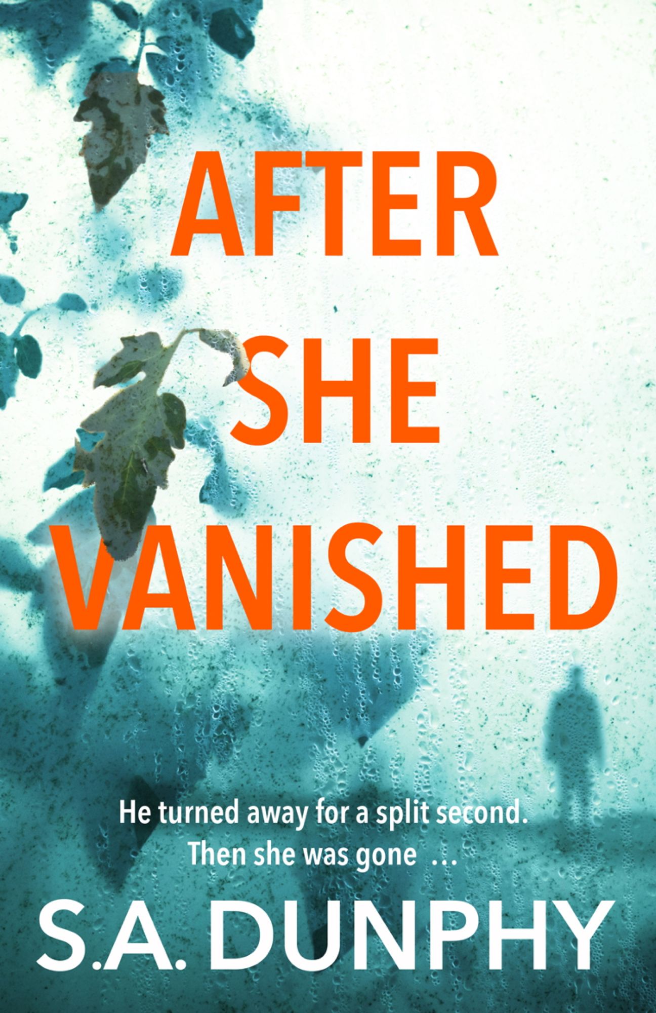 After She Vanished