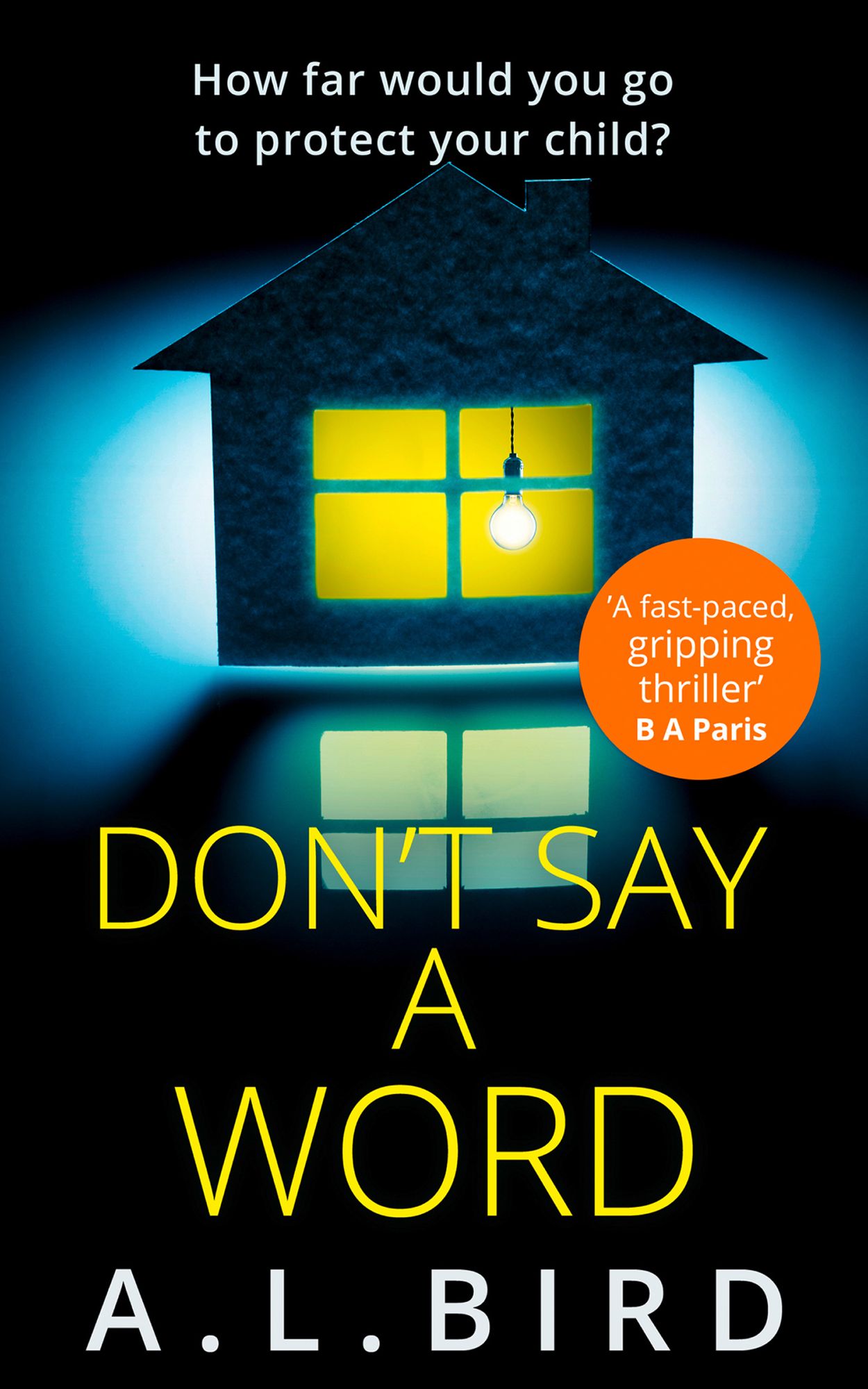 Don't Say a Word: A gripping psychological thriller from the author of The Good Mother