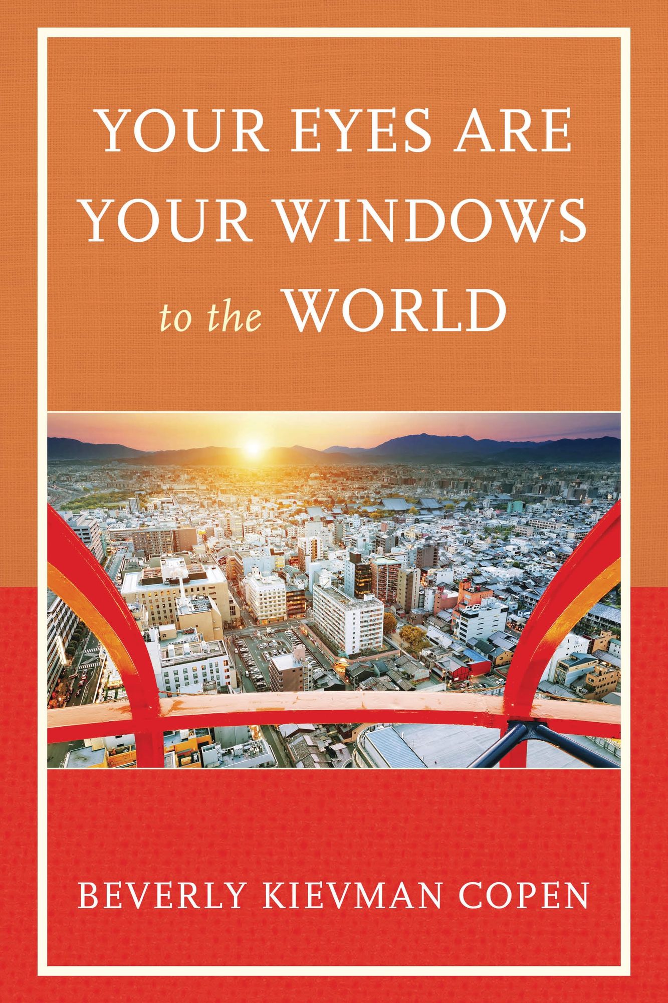 Your Eyes Are Your Windows to the World