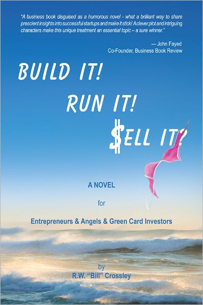 Build it! Run it! Sell it?: A Novel for Entrepreneurs & Angels & Green Card Investors