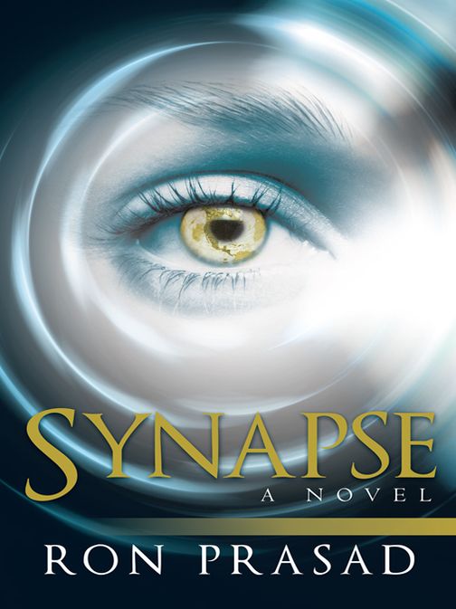 SYNAPSE: A Novel