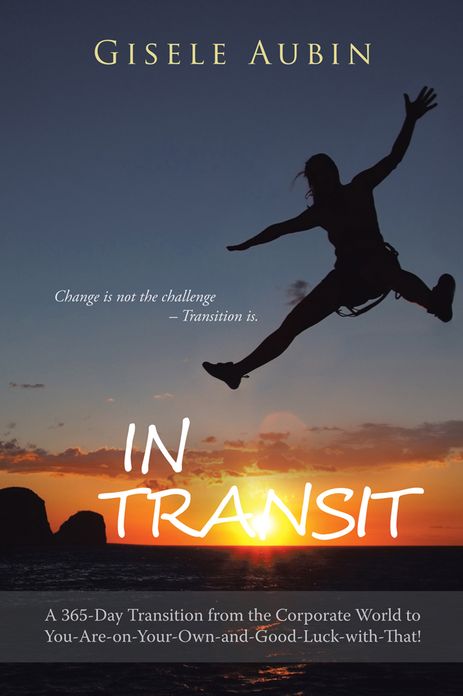 In Transit: A 365-Day Transition from the Corporate World to You-Are-on-Your-Own-and-Good-Luck-with-That!