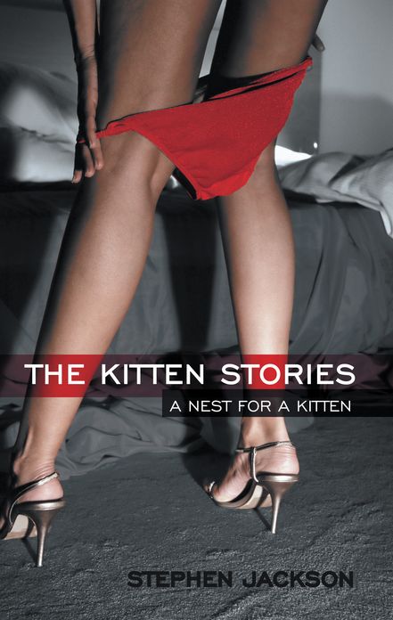 The Kitten Stories: A Nest for a Kitten
