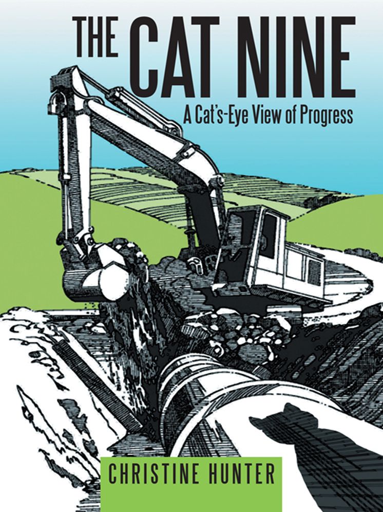 The Cat Nine: A Cat'S-Eye View of Progress