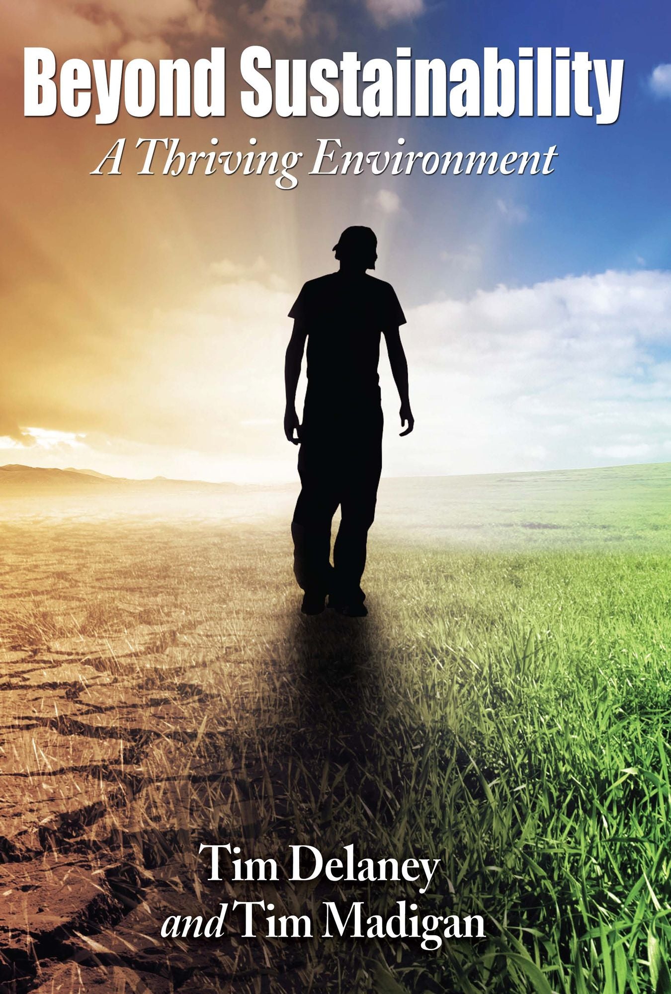 Beyond Sustainability: A Thriving Environment