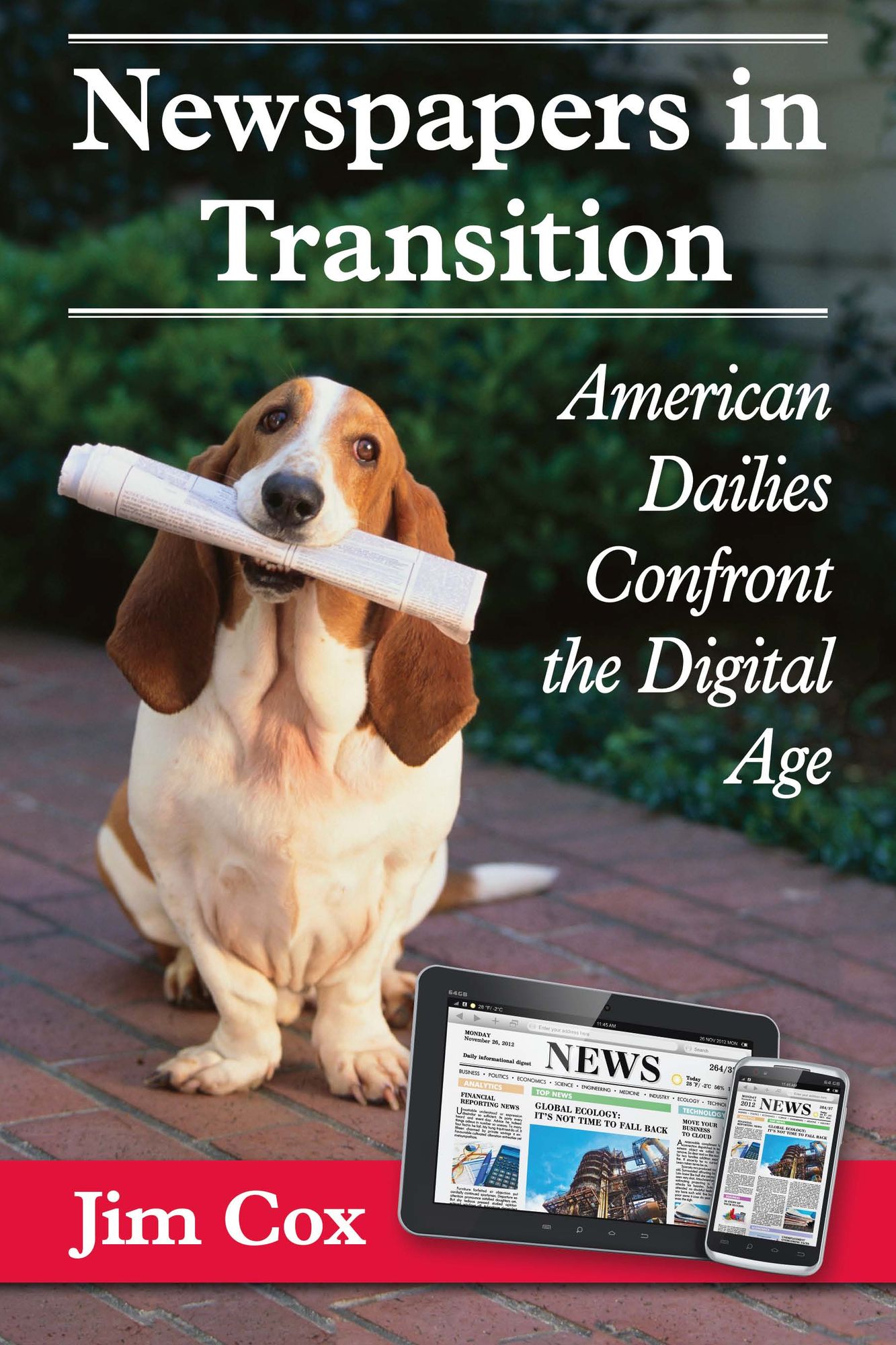 Newspapers in Transition: American Dailies Confront the Digital Age
