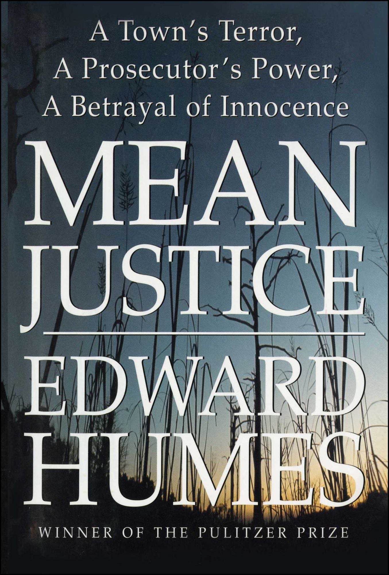 Mean Justice: A Town's Terror, A Prosecutor's Power, A Betrayal of Innocence