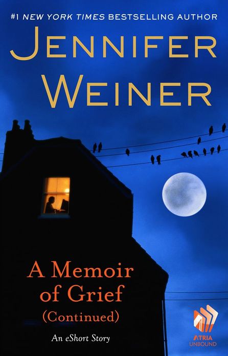 A Memoir of Grief (Continued): An eShort Story
