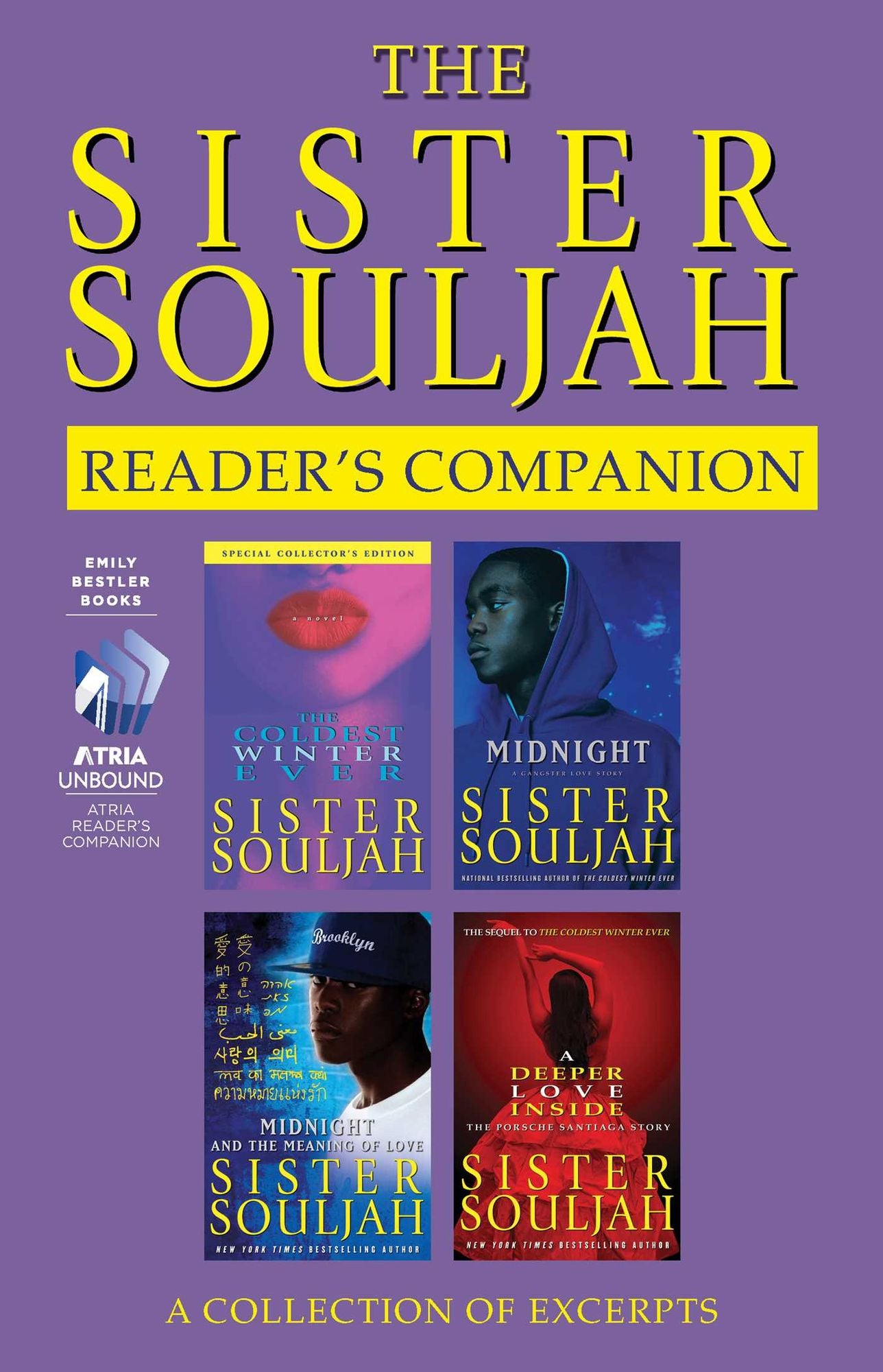 The Sister Souljah Reader's Companion: A Collection of Excerpts
