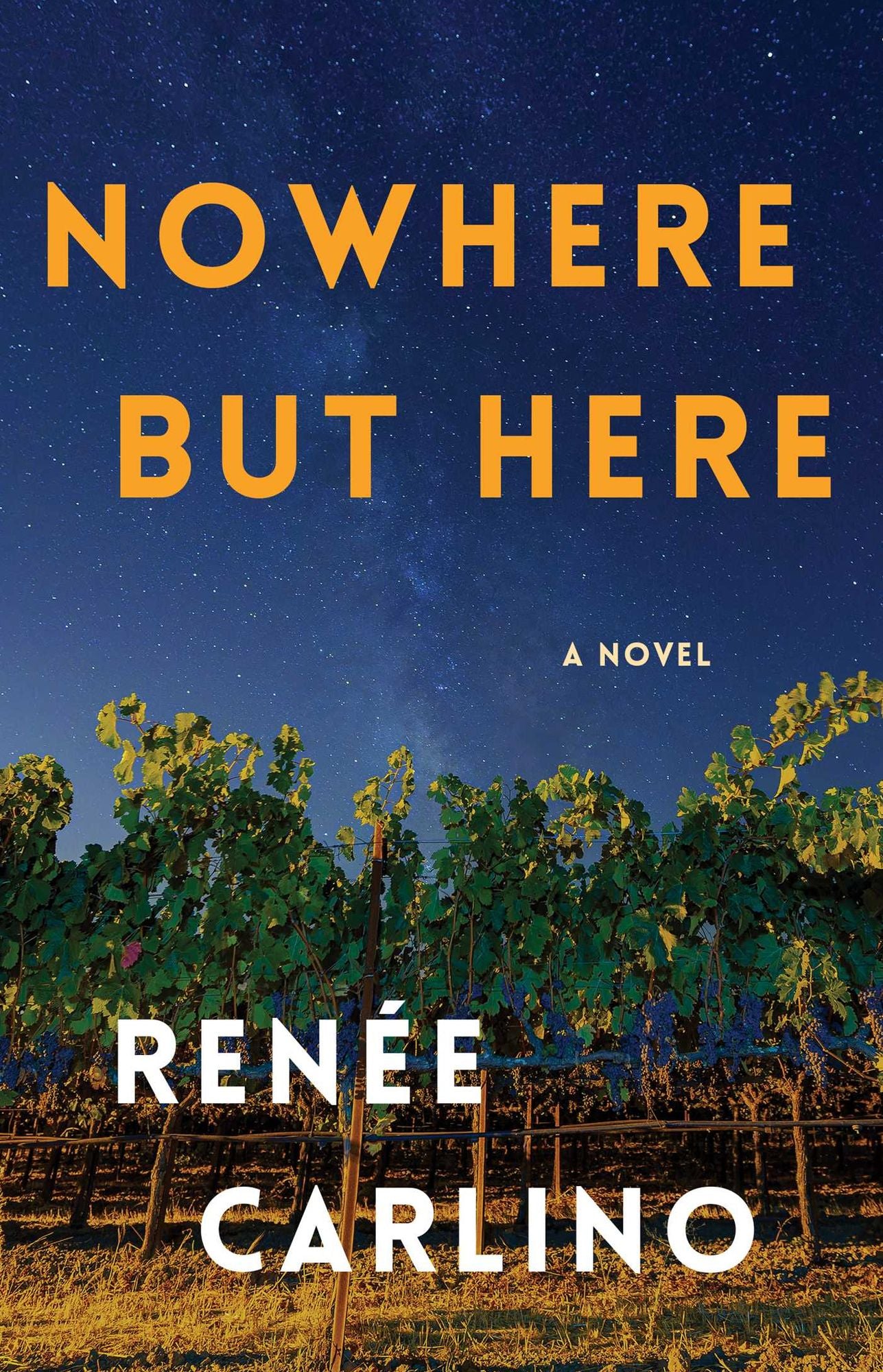 Nowhere but Here: A Novel