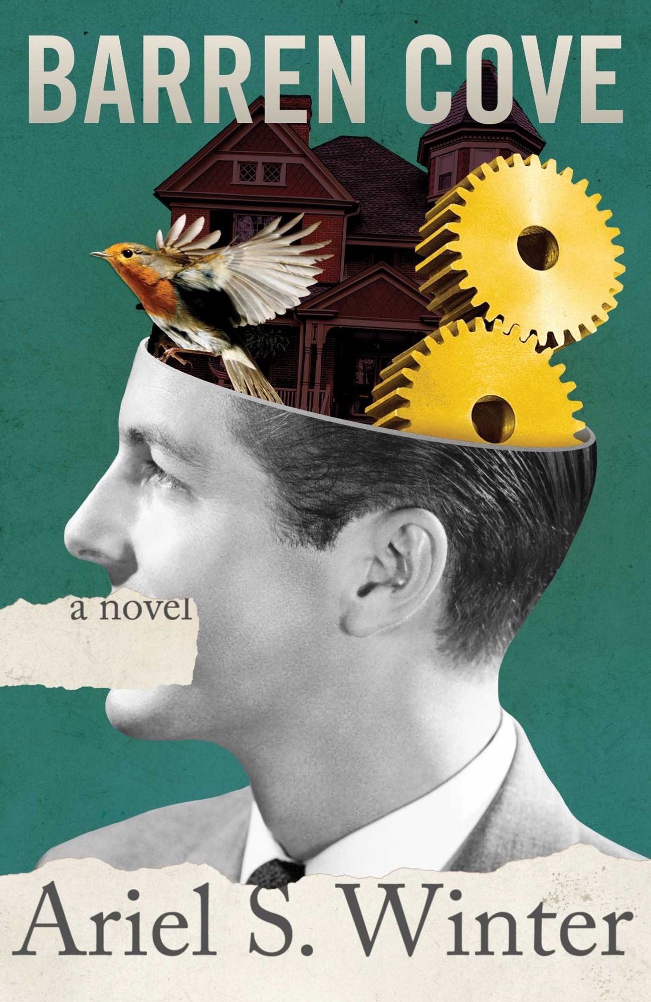Barren Cove: A Novel