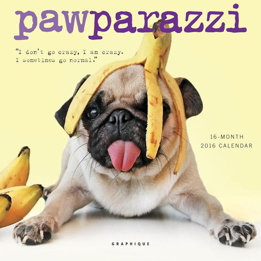 2016 Pawparazzi Mini Wall Calendar