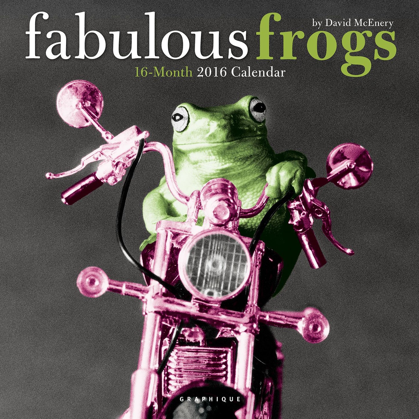2016 Fabulous Frogs Wall Calendar