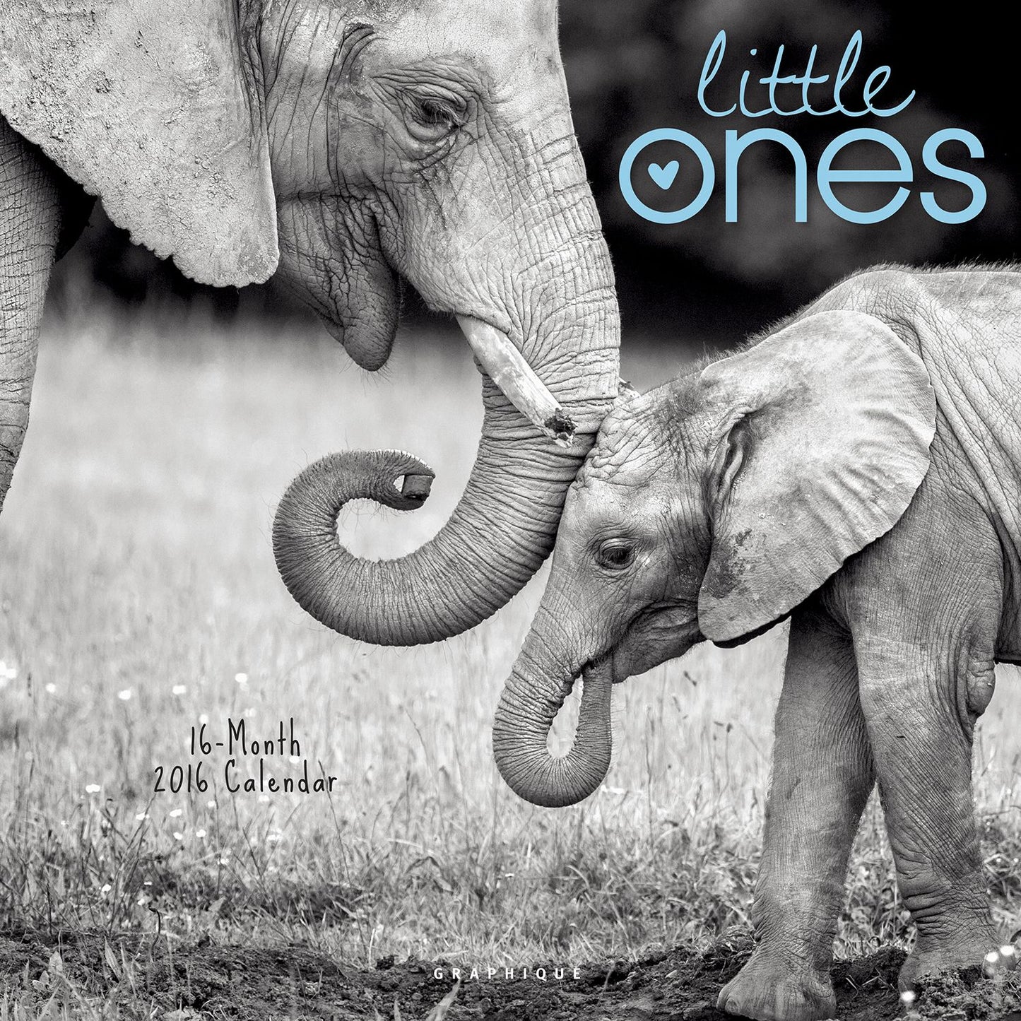 2016 Little Ones Wall Calendar