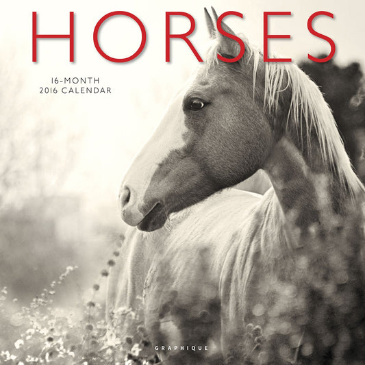 2016 Horses Wall Calendar