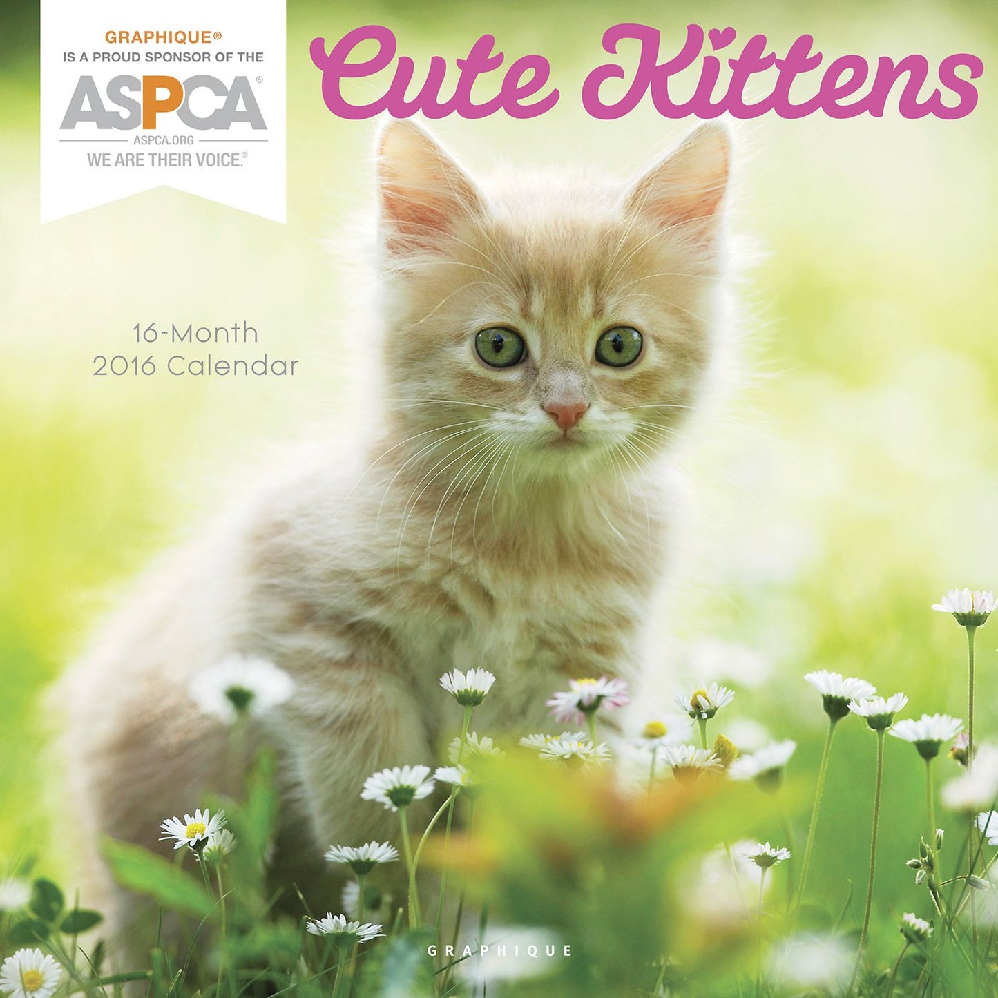 2016 Cute Kittens ASPCA Wall Calendar