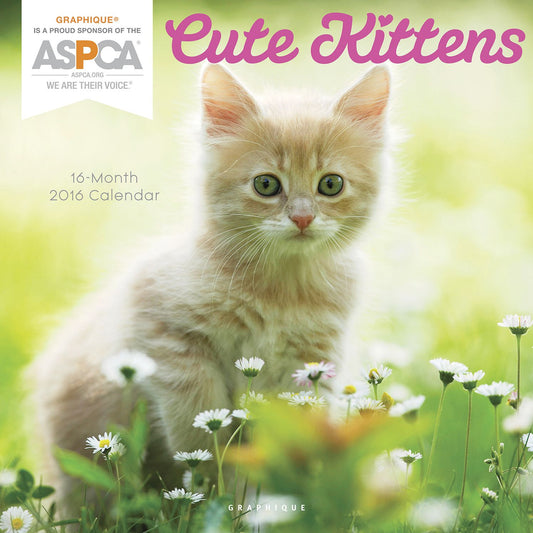 2016 Cute Kittens ASPCA Wall Calendar