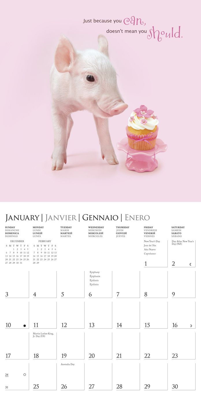 2016 In the Pink! SGK Mini Wall Calendar