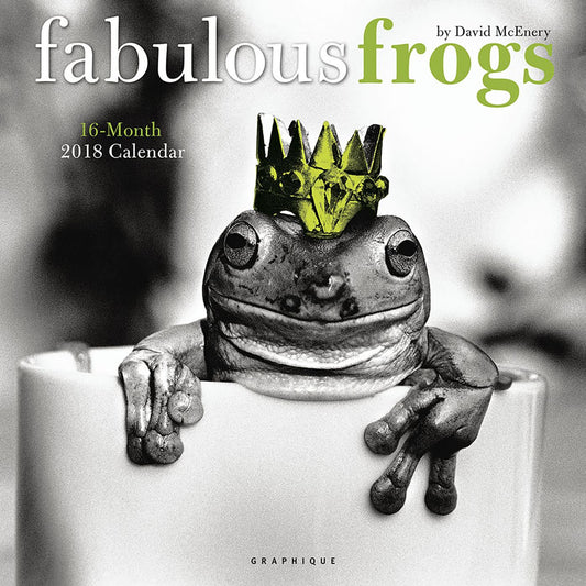 2018 Fabulous Frogs Square Wall Calendar