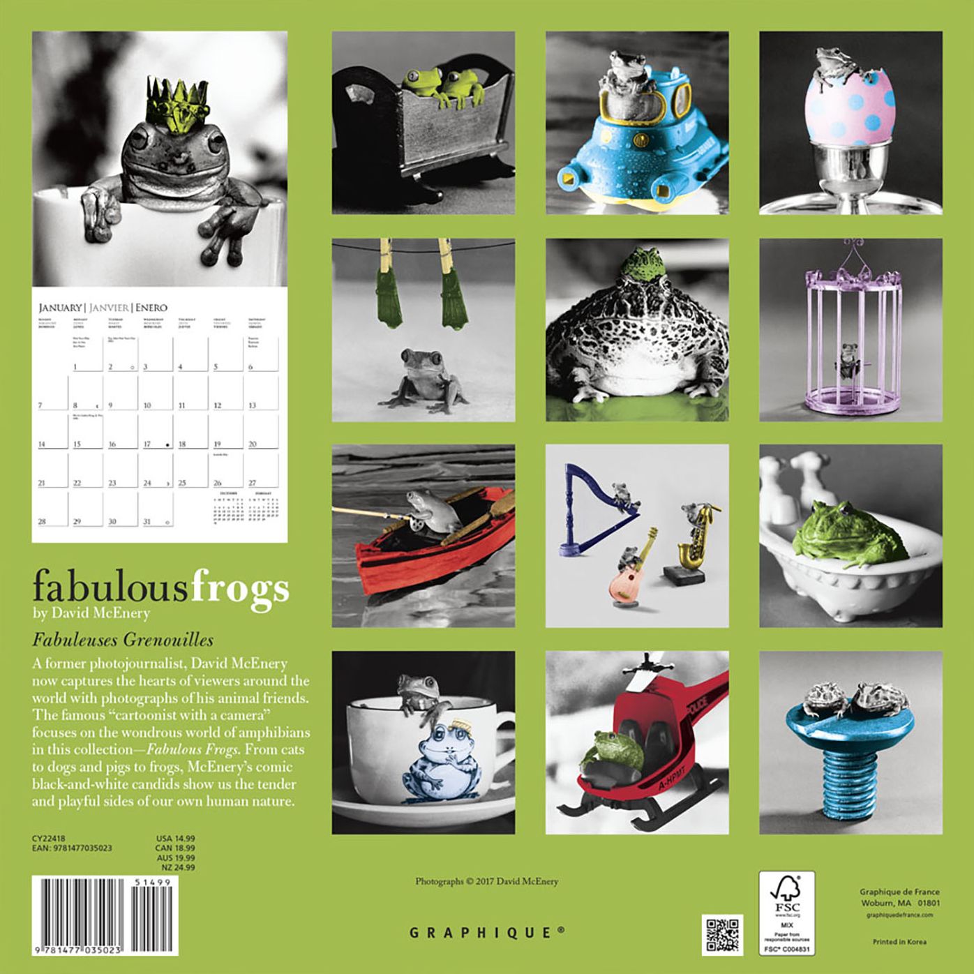 2018 Fabulous Frogs Square Wall Calendar