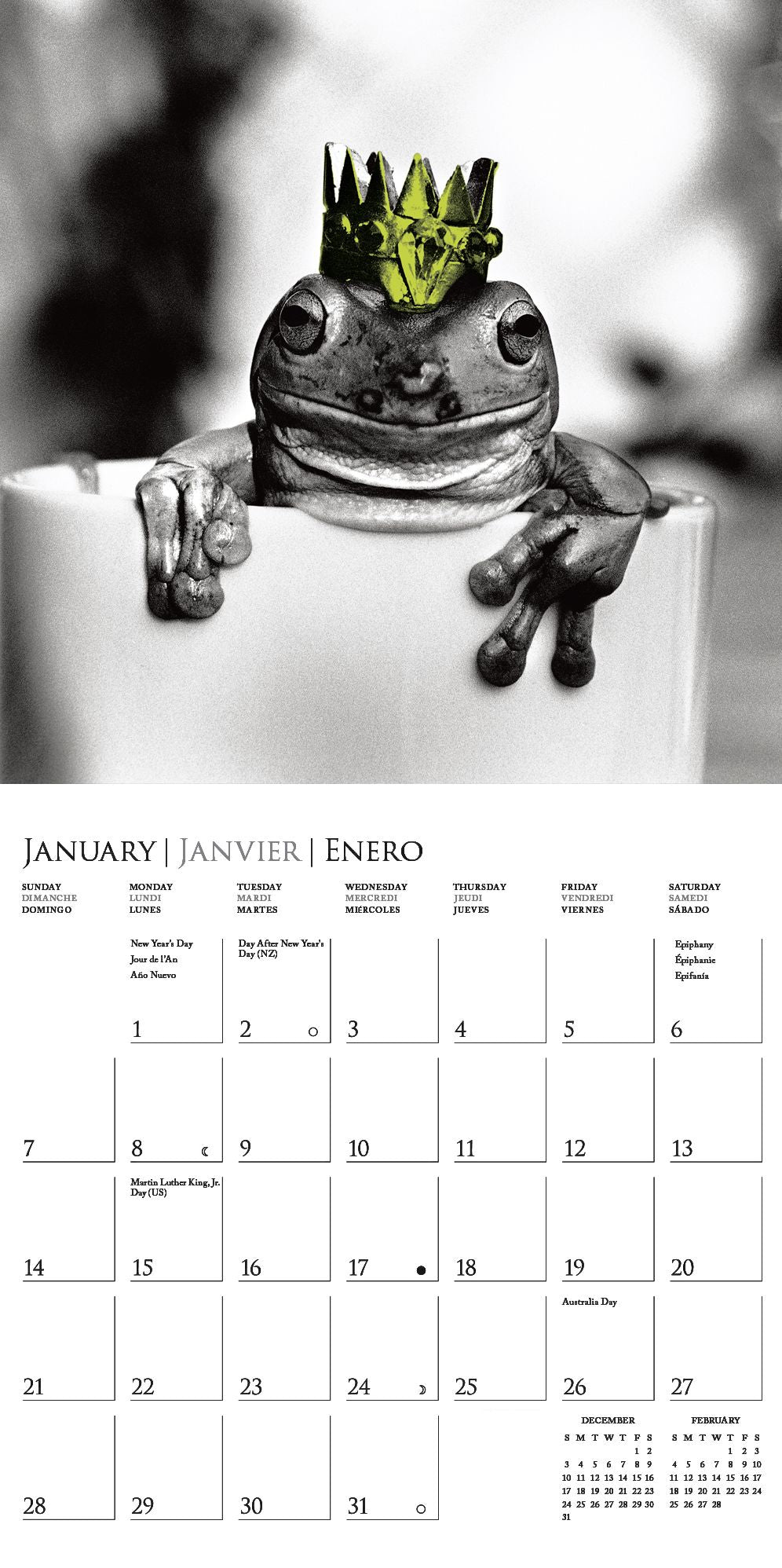 2018 Fabulous Frogs Square Wall Calendar