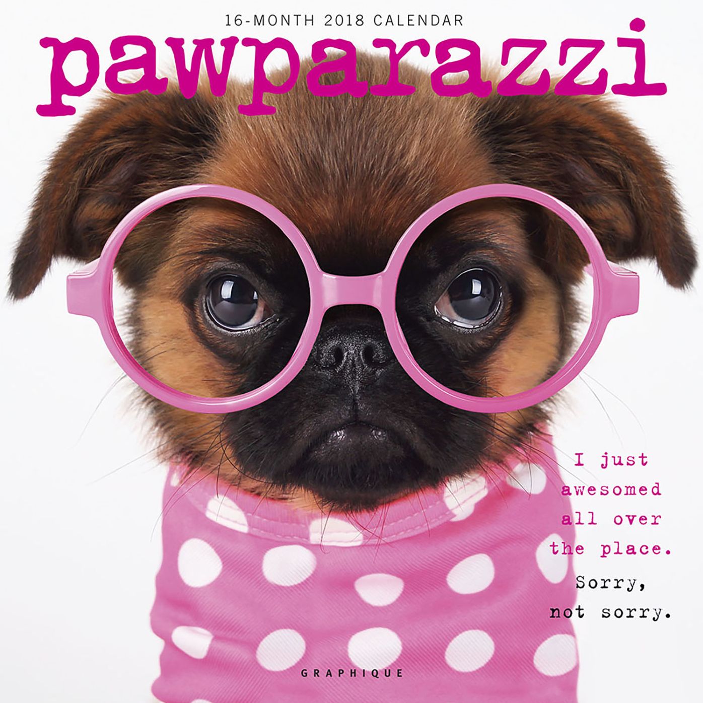2018 Pawparazzi Square Wall Calendar
